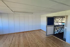 Ανακαίνιση/Τσίρειο