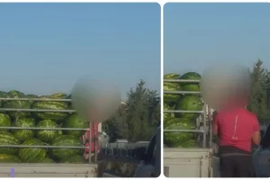 Τρεις καταγγελίες...για τα καρπούζια!