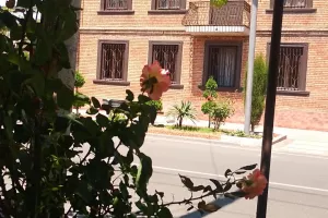 (Φώτος kerkida) Βόλτα… στο Γκόρι