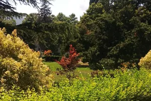 (Φώτος kerkida) Βόλτα… στο Γκόρι