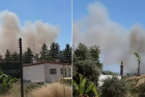 Πυρκαγιά στα Πυργά κοντά σε κατοικημένη περιοχή (Βίντεο)