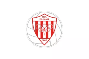 Νέα Σαλαμίνα/Ανοικτή συγκέντρωση