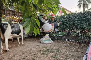 Φωτορεπορτάζ kerkida από το Elbasan
