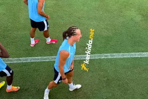 Νταβίντ Λουίζ... braids!