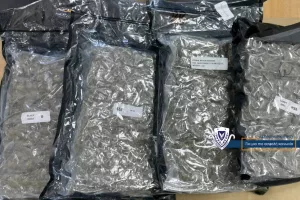 Εντοπισμός και κατάσχεση δύο κιλών κάνναβης – Συνελήφθη 20χρονος