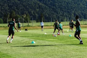 Εκτός για δύο εβδομάδες ο Παζέ