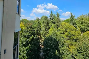 Το kerkida στο Elbasan/ΦΩΤΟΣ
