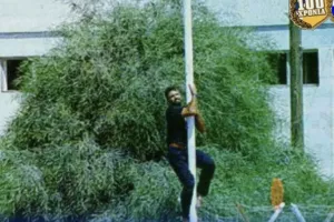 Πορτοκαλί για Σολωμού