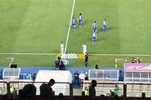 Διπλή παρέμβαση