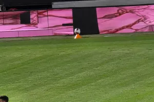 Δεν μας άρεσε/ΣΧΟΛΙΟ-Κώνοι ή ball boys;