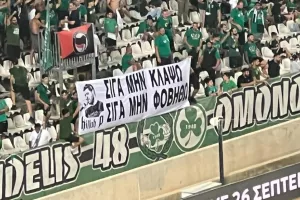 Για τον Παύλο Φύσσα... 