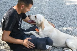 Simba Animal Aid: Ένας Σεπτέμβριος γεμάτος δράσεις για τους τετράποδους φίλους μας - Κάθε βοήθεια είναι απαραίτητη