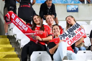 Λατρεύουν... Παλίνια