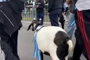 (Βίντεο) Πήγαν με... κατσίκι στο τελευταίο του Μέσι!