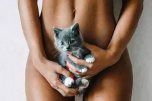 Πολύ γατάκι αυτό το… γατάκι!