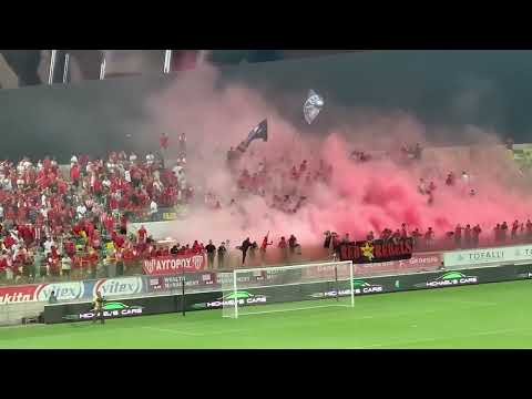Νέα Σαλαμίνα - Υποδοχή